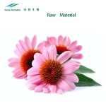 Echinacea Extract Supplier - 4% Polyphenols Purity Powder