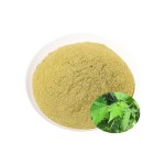 Stinging Nettle Leaf Powder Supplier - 100% Natural Nutrition