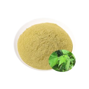 Stinging Nettle Leaf Powder Supplier - 100% Natural Nutrition