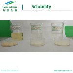 Monk Fruit Extract Supplier - Powdered Mogroside V25 Natural