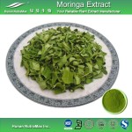 Moringa Powder Supplier - Pure Natural Weight Loss Bulk