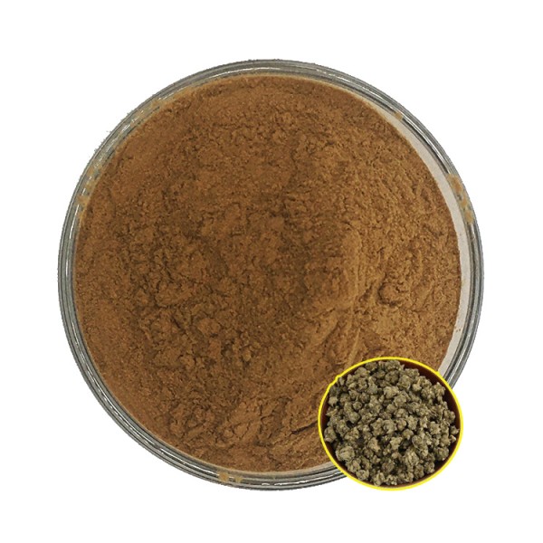 Cat's Claw Extract Manufacturer - 3% Alkaloids Immune Support