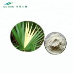 Saw Palmetto Extract Factory - 10:1 Bulk Extract Powder