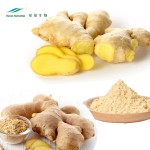 Ginger Powder Supplier - Water Soluble Healthy Drinks Use