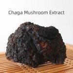 Chaga Extract Manufacturer - 50% Polysaccharides Powder Health
