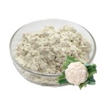 Cauliflower Powder Manufacturer - White Vegetable Food Grade