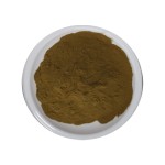 Sea Buckthorn Extract Supplier - Vegan Organic Plant Extract Bulk