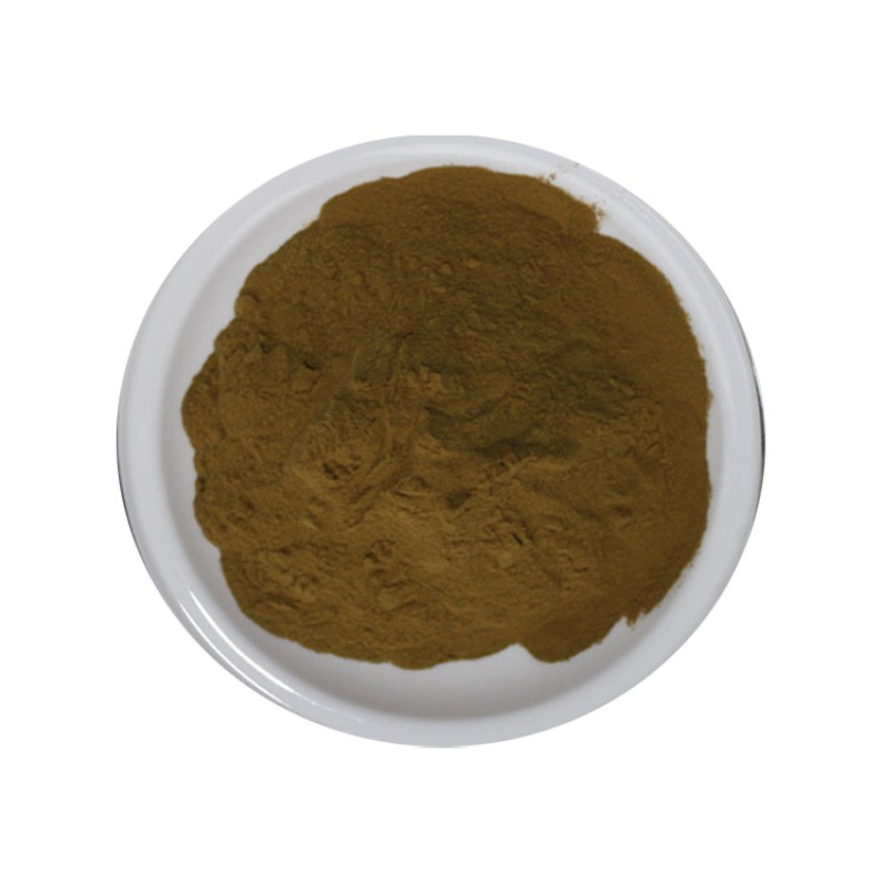 Sea Buckthorn Extract Supplier - Vegan Organic Plant Extract Bulk
