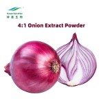Onion Extract Powder Factory - Water Soluble 4:1 Allium Cepa