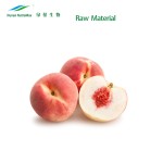 Peach Powder Manufacturer - Freeze Dried Food Grade Direct