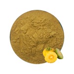 Garcinia Cambogia Extract Factory - 10:1 Powder for Gummies