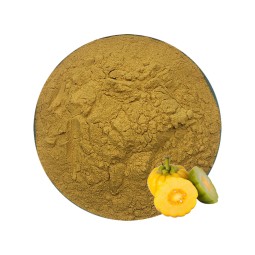 Garcinia Cambogia Extract Factory - 10:1 Powder for Gummies