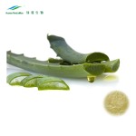 Aloe Vera Gel Powder Supplier - 100:1 Freeze Dried Extract