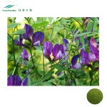 Alfalfa Leaf Powder Supplier - Food Grade Grass Powder Bulk