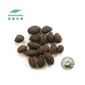 Saw Palmetto Extract Factory - 10:1 Bulk Extract Powder