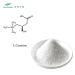 L-Carnitine Powder Supplier - HCl N-Acetyl Amino Acid