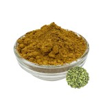 Cardamon Powder Supplier - Green Plant Extract Bulk