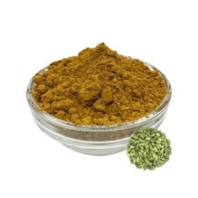 Cardamon Powder Supplier - Green Plant Extract Bulk