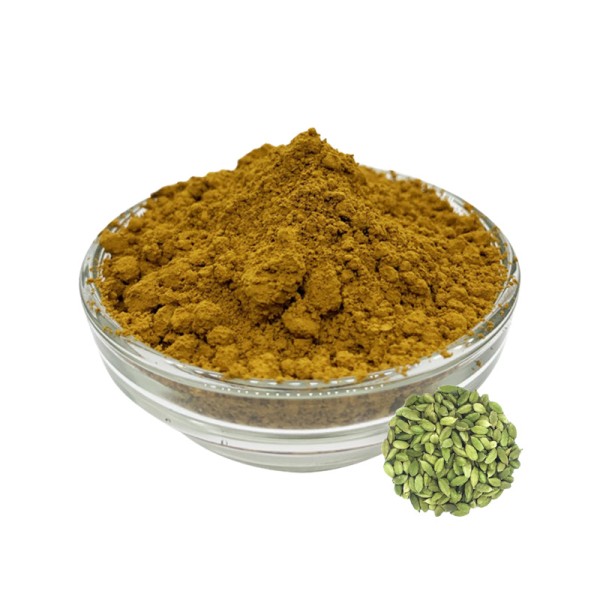 Cardamon Powder Supplier - Green Plant Extract Bulk