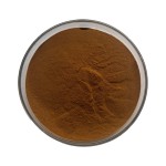Agaricus Blazei Extract Manufacturer - 30% Polysaccharides Food Grade
