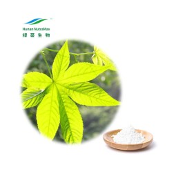Rubus Leaf Extract Supplier - 70% Rubusosides Chinese Sweet Leaf