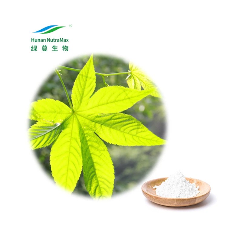 Rubus Leaf Extract Supplier - 70% Rubusosides Chinese Sweet Leaf