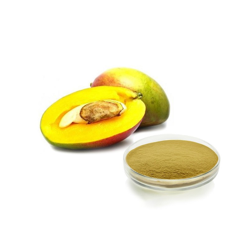 Mango Powder Factory - Spray Drying Flavoring Powder Ready
