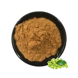 Green Coffee Bean Extract Factory - 50% Chlorogenic Acid Vegan