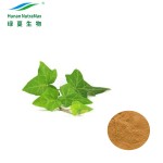 Ivy Extract Powder Factory - 100% Pure 4:1-20:1 Natural