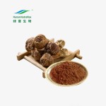 Agaricus Blazei Extract Manufacturer - 30% Polysaccharides Food Grade