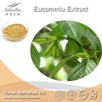 Eucommia Leaf Extract Factory - 98% Chlorogenic Acid Cosmetic