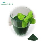 Spirulina Powder Manufacturer - Chlorella Spirulina Wholesale