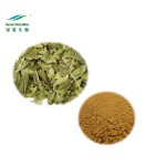 Buchu Leaves Powder Supplier - 100% Natural Chinese Herb