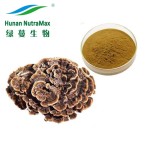 Turkey Tail Mushroom Extract Supplier - 50% Polysaccharides Health Food