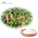 Griffonia Seed Extract Manufacturer - 99% 5-HTP Bulk Powder