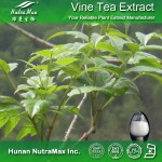 Vine Tea Extract Factory - 98% Myricetin Dihydromyricetin