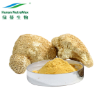 Lions Mane Extract Powder Factory - 10:1 20:1 Nutrition Supplement