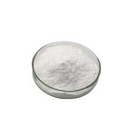 Acetyl L-Carnitine Powder Supplier - Food Grade Sports Nutrition