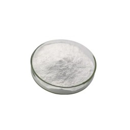 Acetyl L-Carnitine Powder Supplier - Food Grade Sports Nutrition