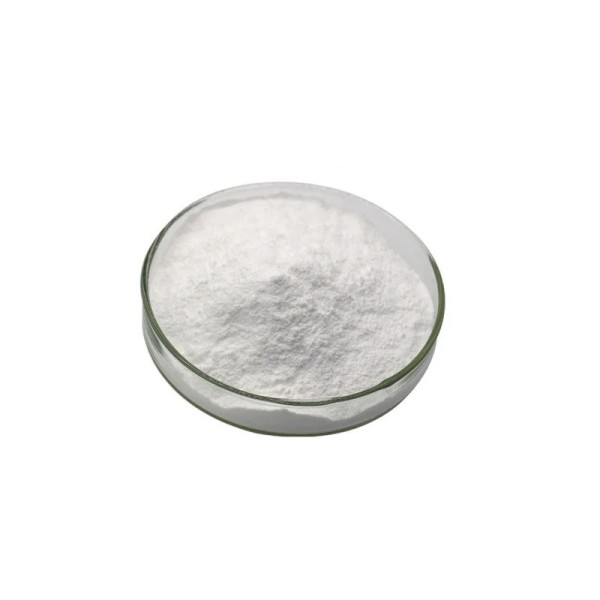 Acetyl L-Carnitine Powder Supplier - Food Grade Sports Nutrition