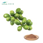 Green Coffee Bean Extract Factory - Water Soluble Chlorogenic Acid
