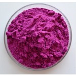 Dragon Fruit Powder Factory - 100% Water Soluble Red Pitaya