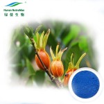 Gardenia Blue Powder Factory - Food Grade E30 E80 Extract