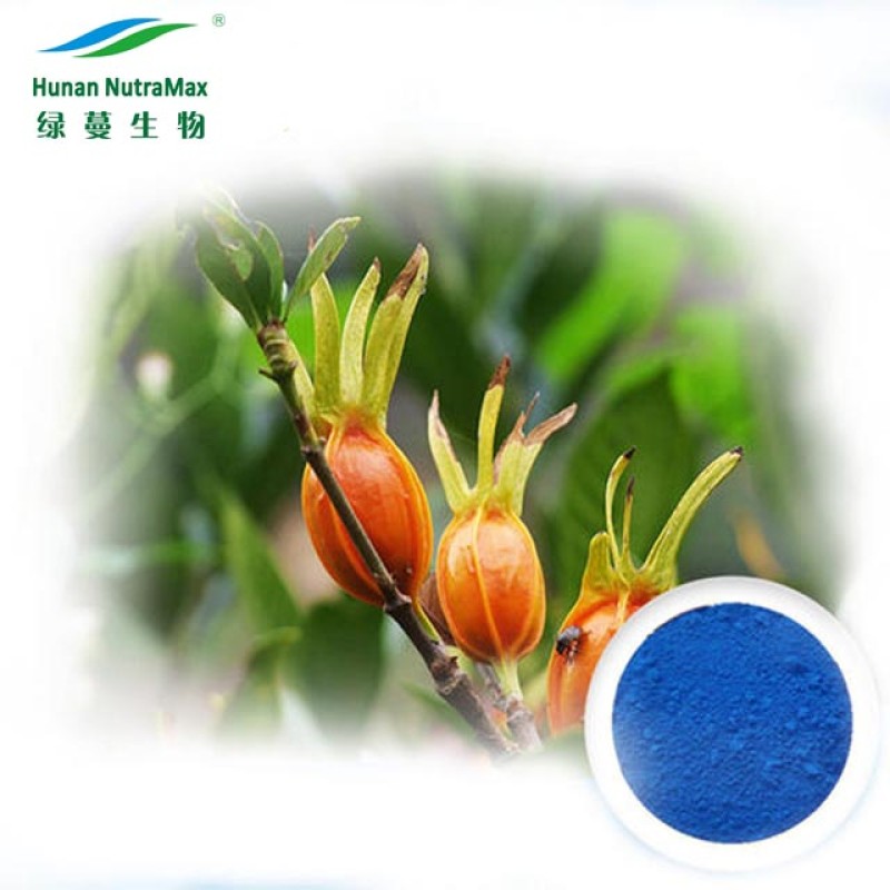 Gardenia Blue Powder Factory - Food Grade E30 E80 Extract