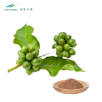 Green Coffee Bean Extract Factory - Water Soluble Chlorogenic Acid