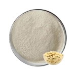 White Kidney Bean Extract Manufacturer - 2% Phaseolin Inhibitor Powder