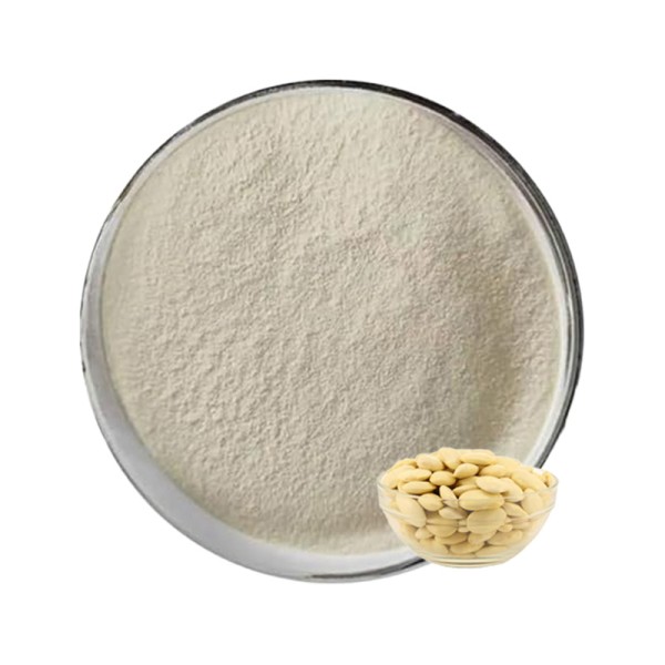 White Kidney Bean Extract Manufacturer - 2% Phaseolin Inhibitor Powder