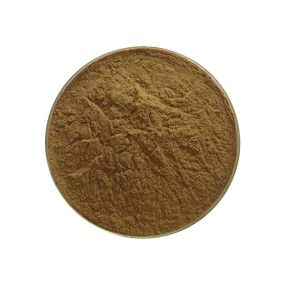 Chasteberry Extract Factory - 10:1 Women Supplements Bulk