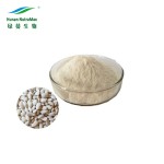 White Kidney Bean Extract Supplier - 10:1 Weight Loss OEM