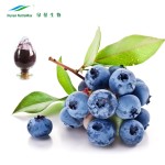 Blueberry Powder Supplier - Freeze Dried Juice Powder Drink
